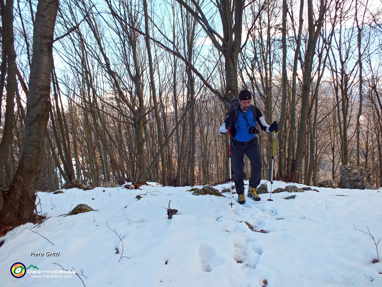 53 Tratto nel bosco di faggeta....JPG